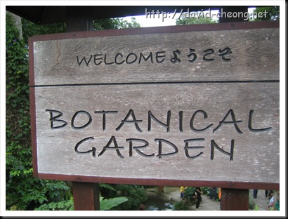 Botanical Garden in Japanese Tea House