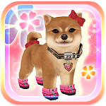 Cover Image of Download My Dog My Style 1.8.4 APK