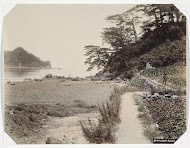 Berghelling met een tuin aan de oever van een water in Japan