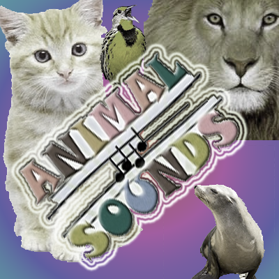 Kids games : Animal Sounds