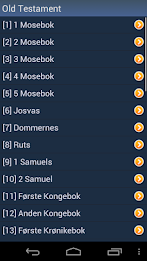 Norwegian Holy Bible poster 2