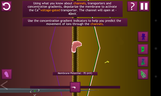 【免費教育App】Cell Membrane Potential-APP點子