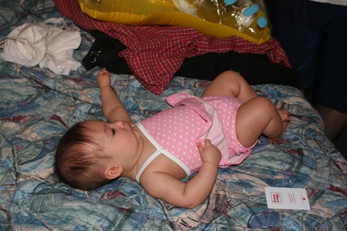 [Misc Gracie pics 007[2].jpg]