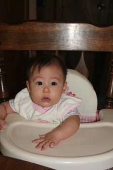 [Misc Gracie pics 064[2].jpg]