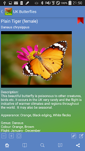 Download Pocket Guide UK Butterflies APK for Android