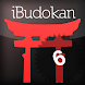 Aikido Advanced 2