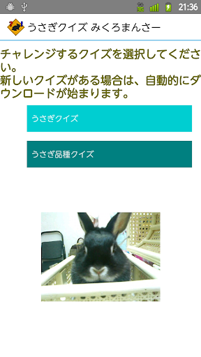 うさぎクイズ みくろまんさー 【無料で遊べるウサギクイズ】