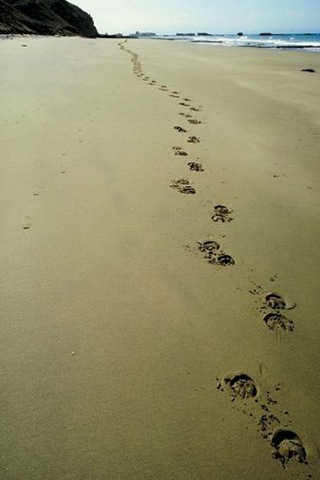 [Footprints[10].jpg]
