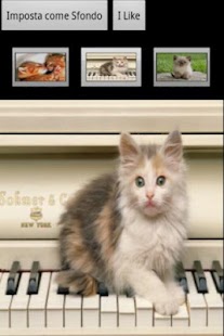 Meow Cats Free Screenshots 0