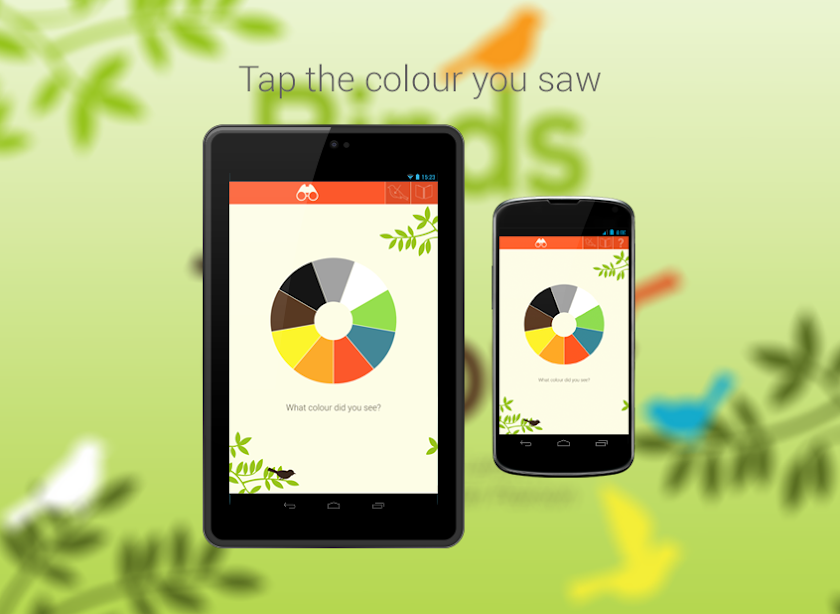 Birds by Colour Screen 1