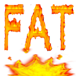 Burn Fat Apk