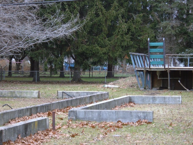 [backyard2[2].jpg]