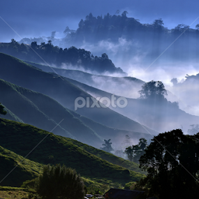 Misty Morning   by Jimmy Chiau - Landscapes Mountains & Hills