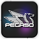 Pegaso Plus