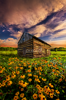 Off the Grid by Phil Koch -  