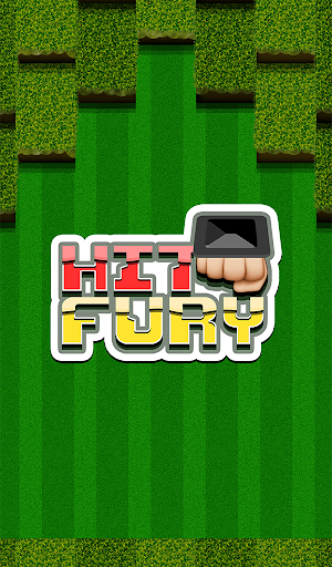 Hit Fury