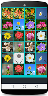 How to get Flower Game lastet apk for laptop