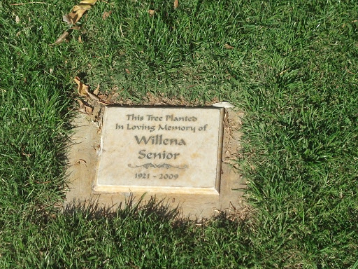 Willena Senior Memorial 