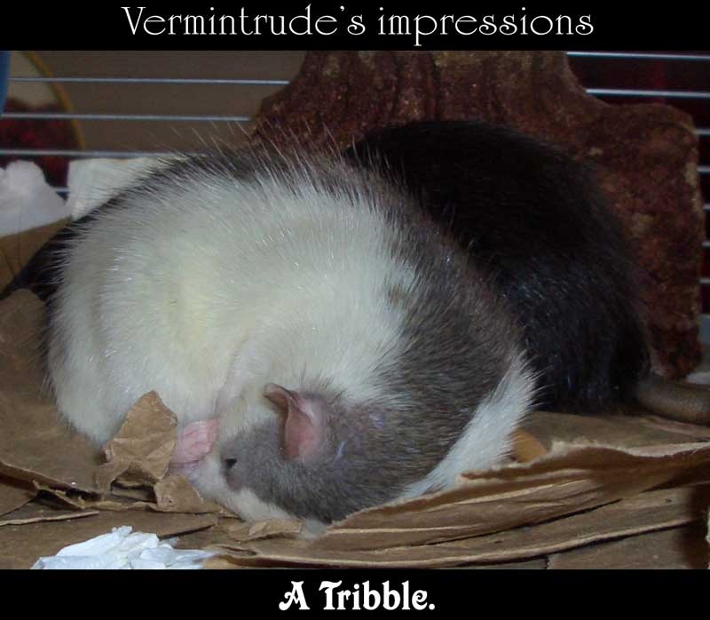 [Vermintribble[2].jpg]