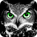 Night Helper(Night vision) logo
