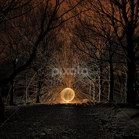 Wire wool orb in the woods by Mike Hudson - Artistic Objects Other Objects