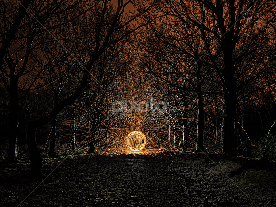 Wire wool orb in the woods by Mike Hudson - Artistic Objects Other Objects