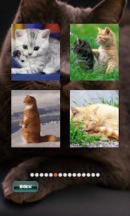 How to download Cat Puzzles lastet apk for pc