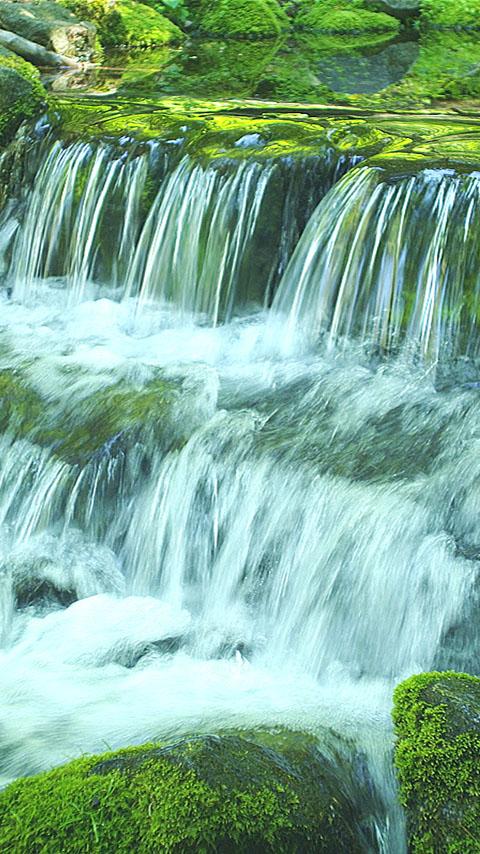 Green Stream HD Video &amp; Alarm Screen 2