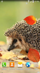 How to install Autumn Wallpaper 1.0.3 mod apk for laptop