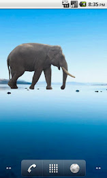 Elephant Sticker poster 2