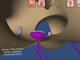 Human Ear structure in 3D APK Gambar Screenshot #23