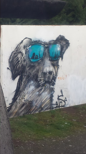 Doggi Style Rio Bueno Mural