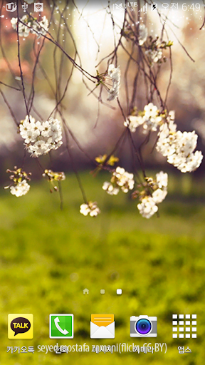 로모톤봄꽃배경