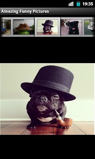 How to download Amazing Funny Pictures lastet apk for laptop