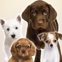PupTalk! 4 puppies talk-back