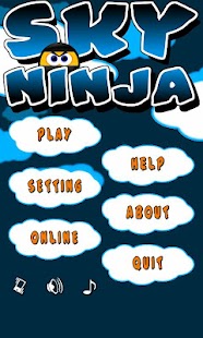 Sky Ninja