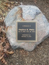 Stephen D. White Memorial Stone
