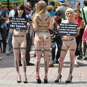 Protest at Ottawa Ribfest by Debbie Annable Carr - News & Events Entertainment