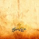 The Bridge App