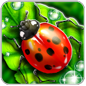 Bubble Blocks icon