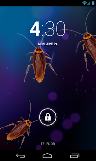 Bugs in Phone-Prank