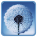 Galaxy S3 Live Wallpaper icon