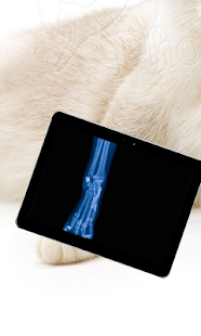 Pet Xray- Prank Screenshots 6
