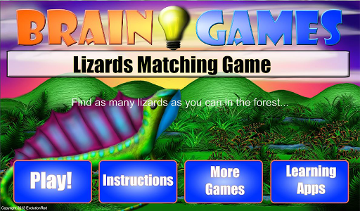 Lizards Matching Game