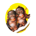 Amusing snippets logo
