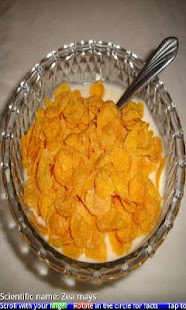 Top 10 Cereals FREE - náhled