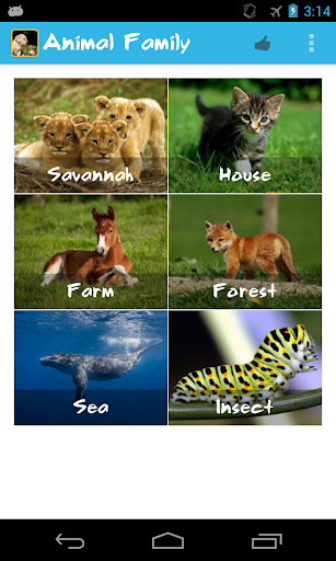 Animal Family