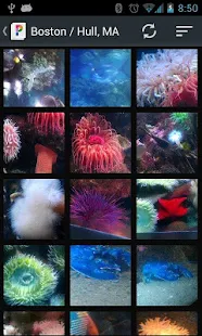 PicsPro pour Picasa - screenshot thumbnail