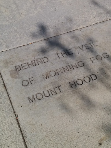 Behind the Veil Sidewalk Poetry