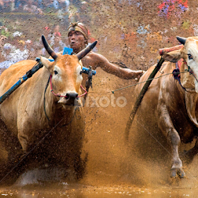 Sport by Edwin Prajusa - News & Events Sports